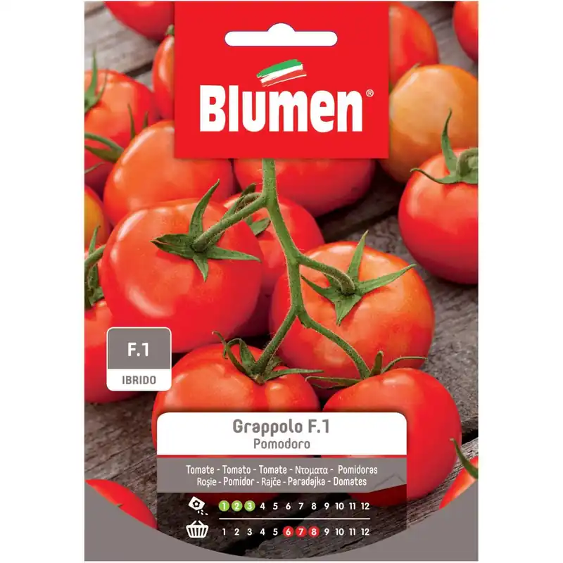 Semi Blumen Pomodoro a grappolo f.1 Exclusieve Aanbieding