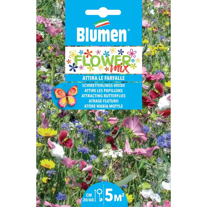 Semi mix di fiori che attirano le farfalle Laatste Versie