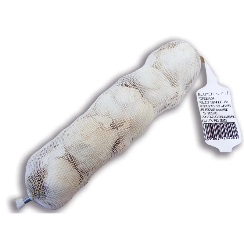 Bulbo aglio bianco 500 g Fabrieksprijs