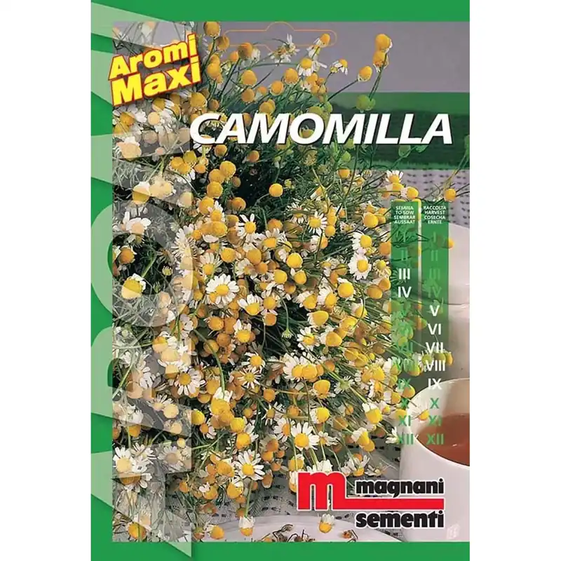 Op = Op Semi aromi Camomilla