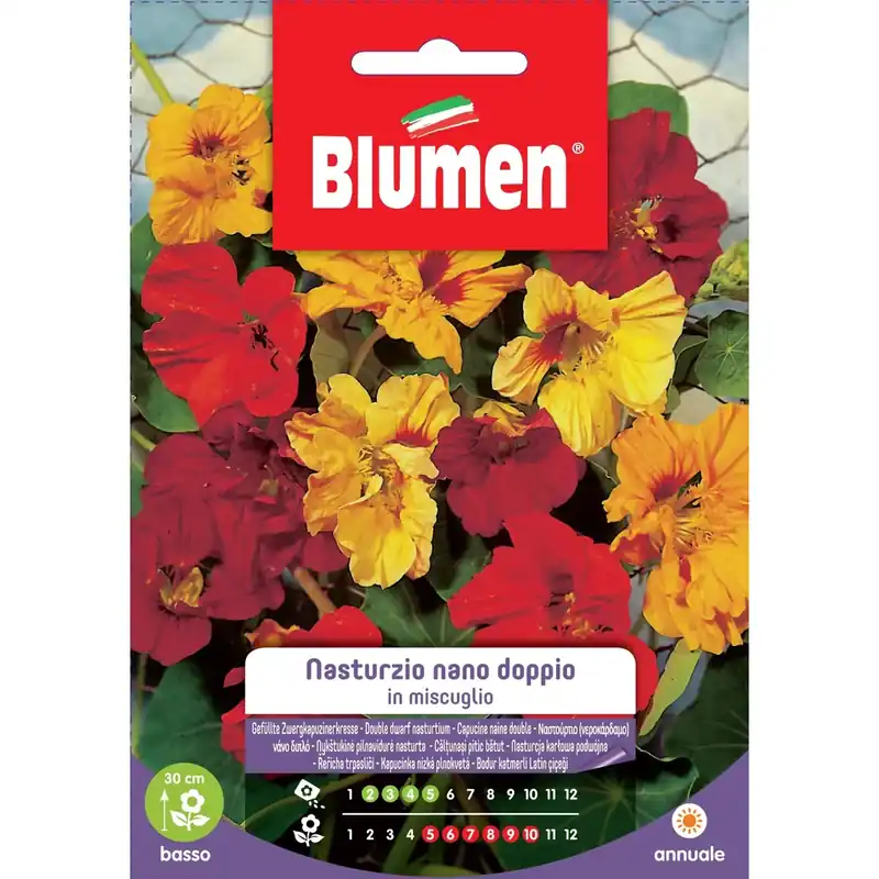 Semi Blumen nasturzio nano doppio in miscuglio Premium