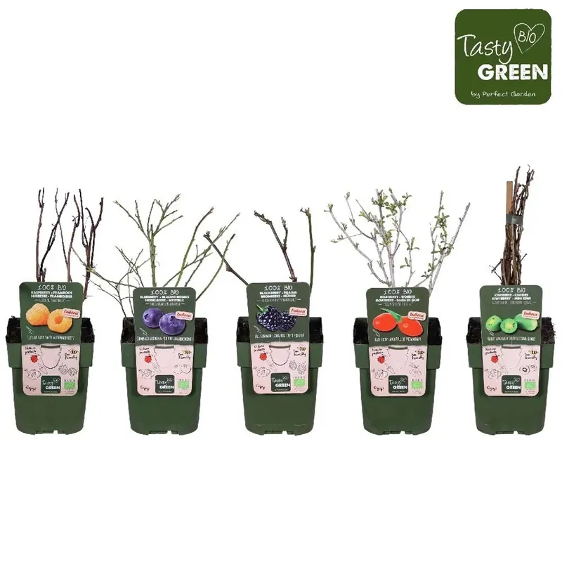 Fruttabio Mix13 Vaso 13 cm Bestel Nu