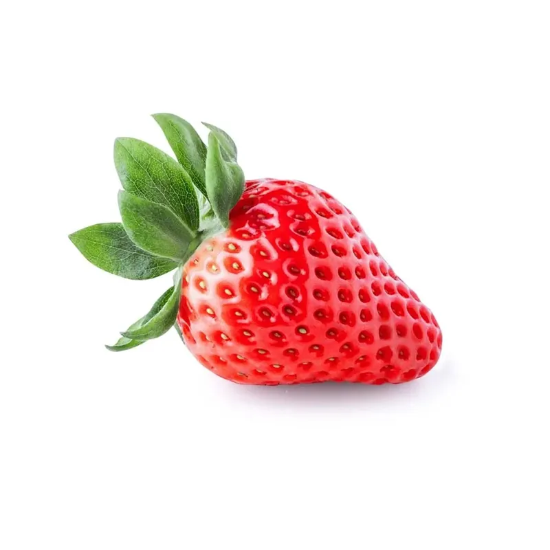 Fragola rifiorente vaso 10 cm Bestseller