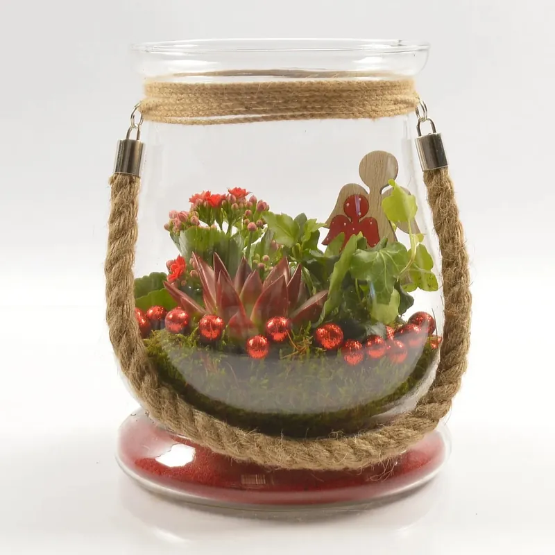 Beperkte Voorraad Composizione Kalanchoe e Echeveria rosso vaso in vetro