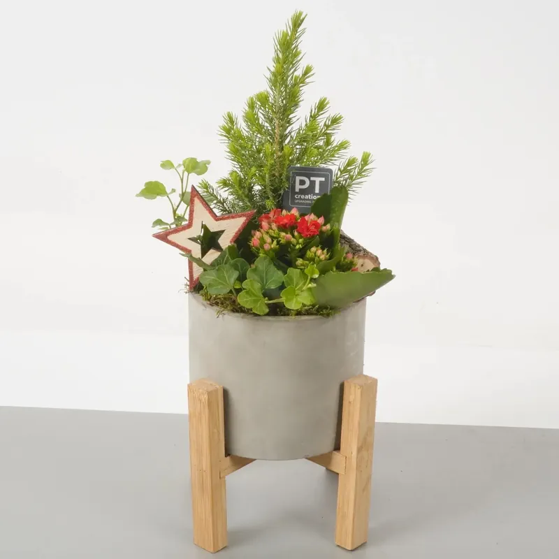 Composizione in vaso in cemento Ø cm 17 con piedini in legno Weekendaanbieding