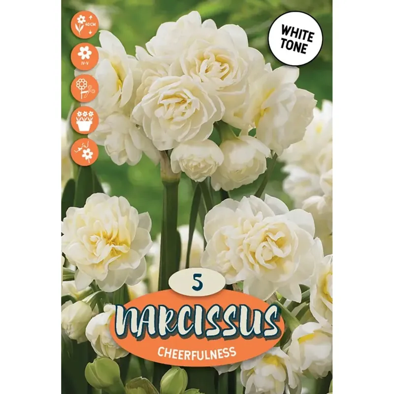 Bestel Nu Narciso flusso multi allegria bianco