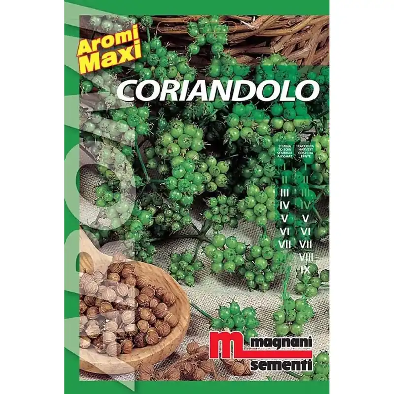 Alleen Vandaag Semi aromi Coriandolo