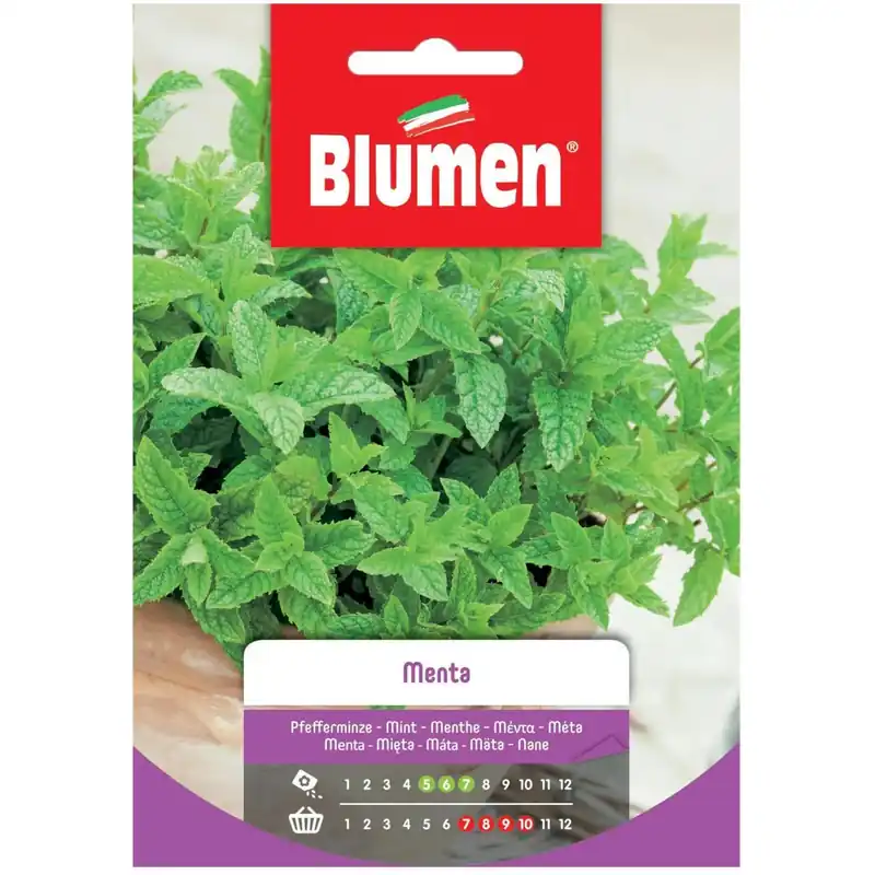 Rechtstreeks Van De Fabrikant Semi Menta Blumen