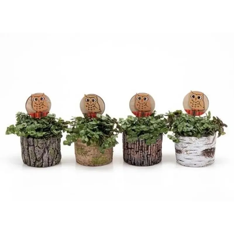 Express Levering Callisia Ceramica vaso 6 cm
