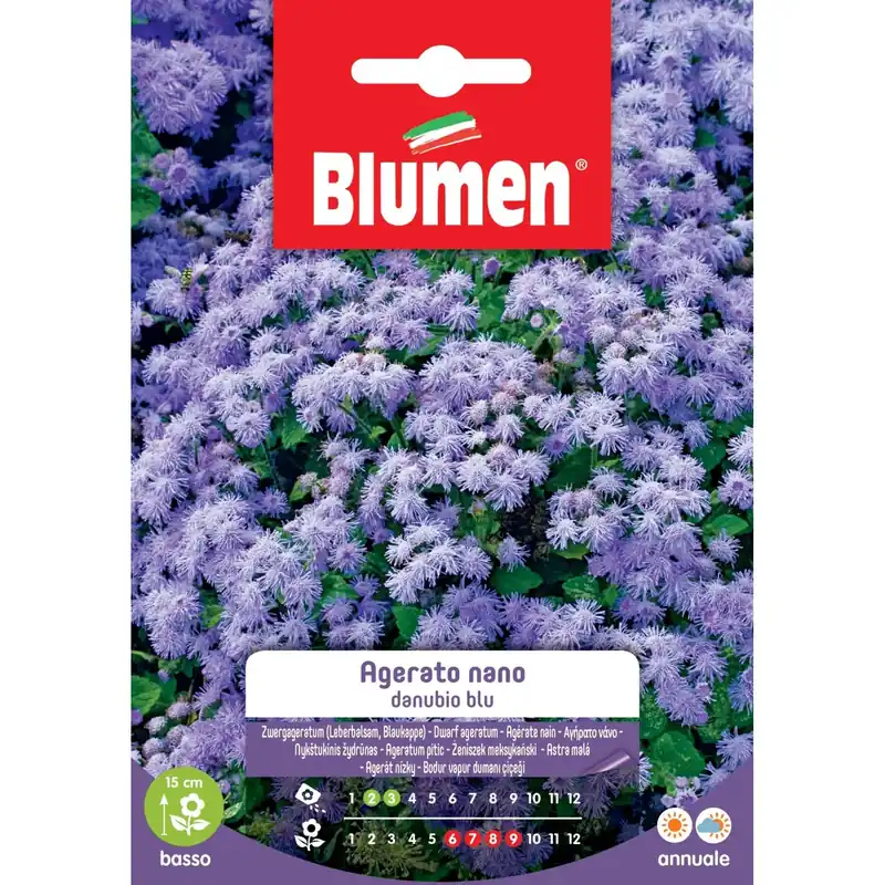 Koopje Semi Agerato nano blu