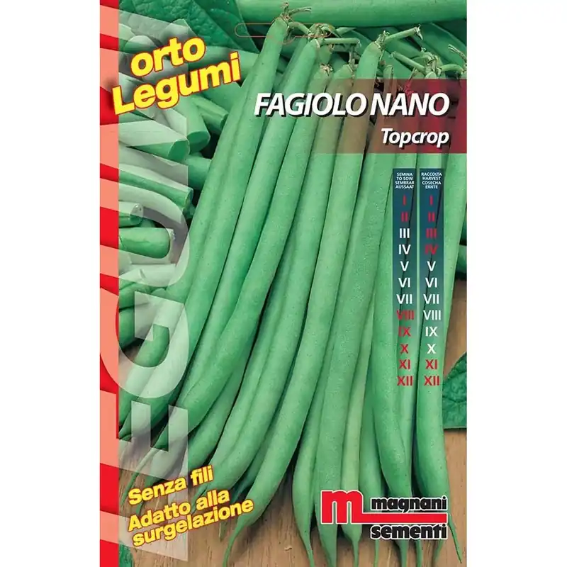 Finale Uitverkoop Semi Fagiolo nano Top crop 100 g