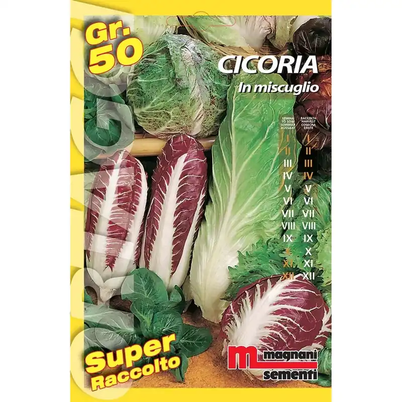Semi orto big Cicoria miscuglio 50 g Finale Uitverkoop
