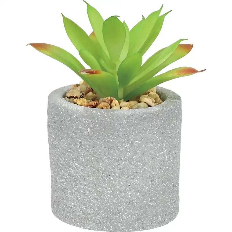 Finale Uitverkoop Vaso per piante effetto pietra 5x5x8 cm grigio con Agave