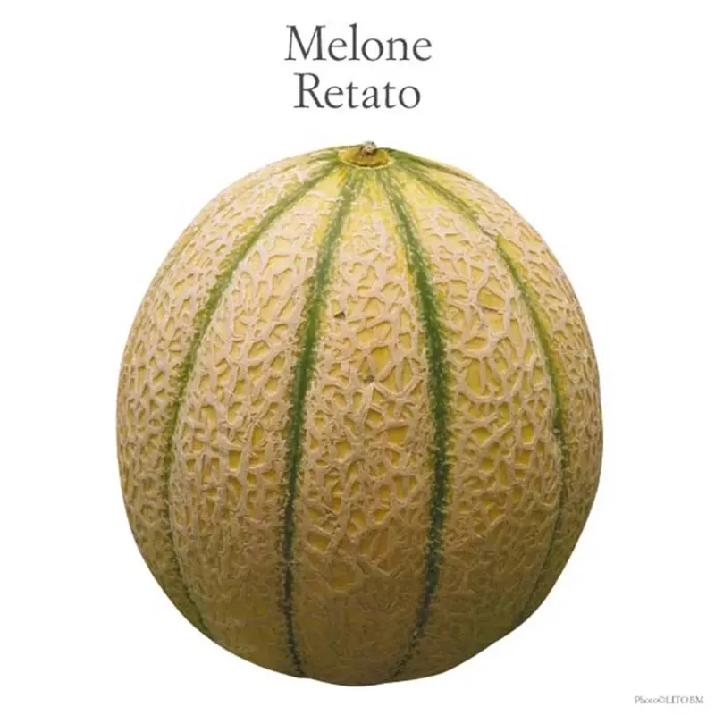 Dagaanbieding Melone retato vaschetta 4 pz