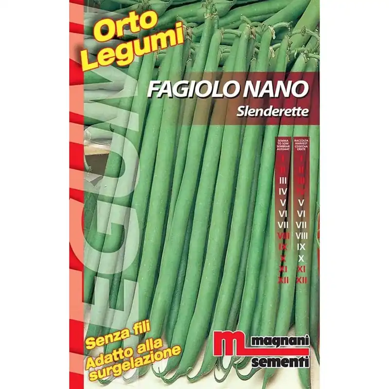 Semi Fagiolo nano Slenderette 200 g Op = Op