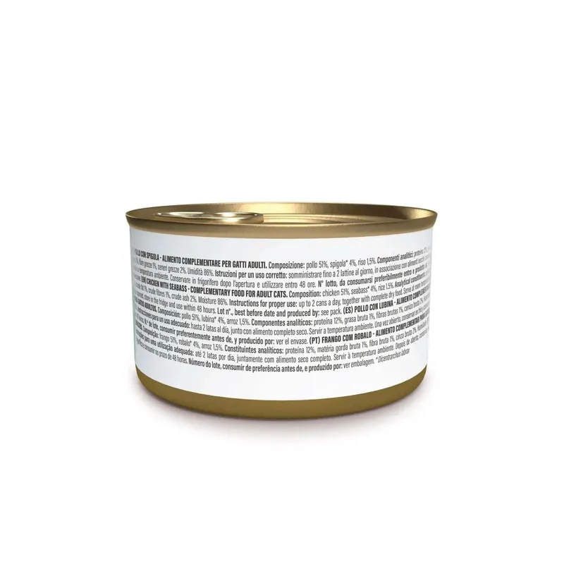 Betaalbaar Cibo umido per gatti Schesir Pollo spigola filetti jelly 12x70g