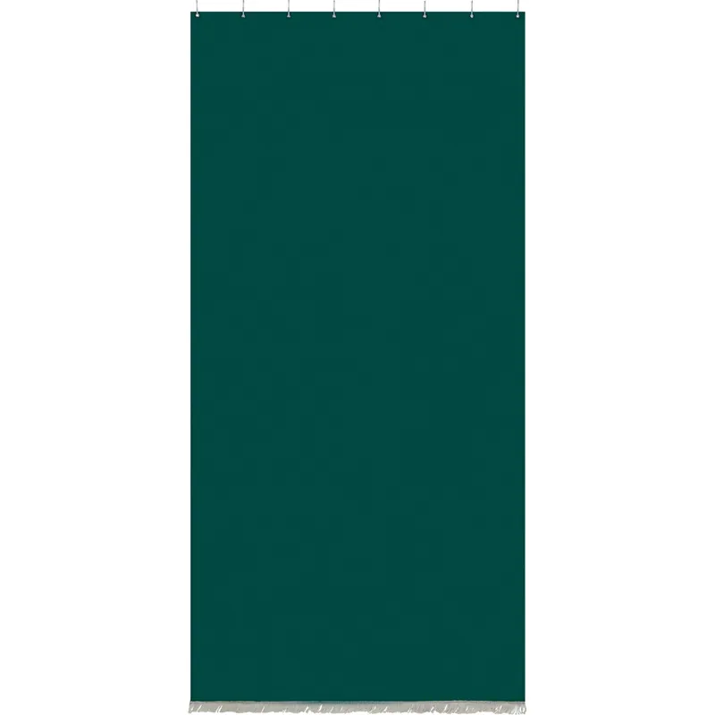 Fabrieksprijs Tenda da sole a caduta verticale con anelli 145x300 cm verde