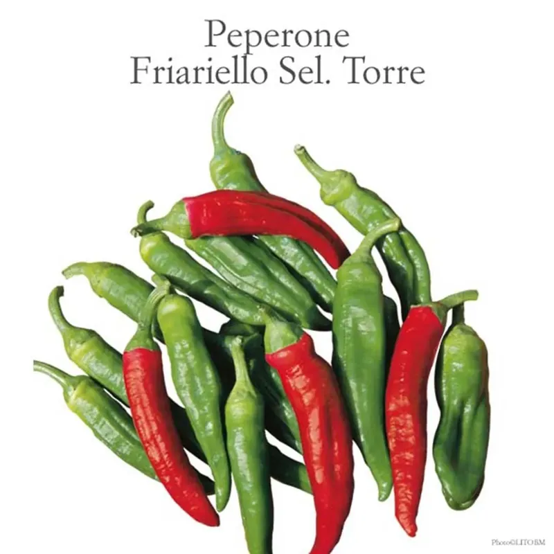 Superprijs Peperone da friggere vaso 10 cm