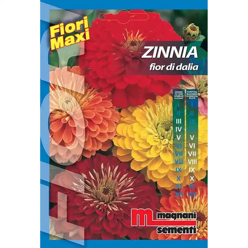 Hete Deal Semi fiori Zinnia fior di dalia
