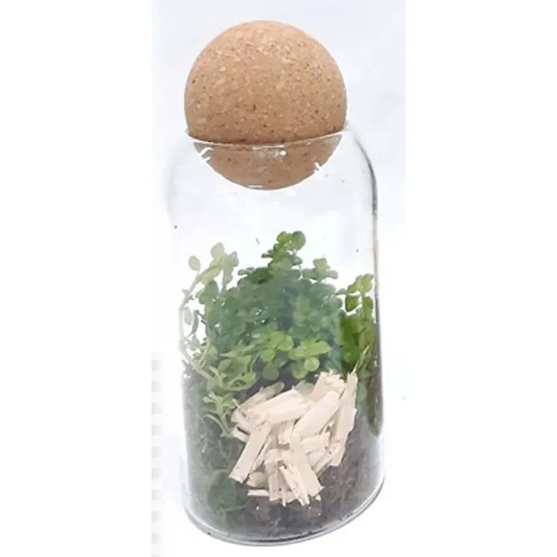 Arr Pepero Mia vaso 9 cm Speciale Aanbieding