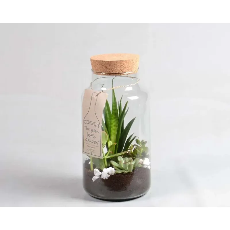 Snelle Levering Composiz Bottigliap Te Vaso 29 cm