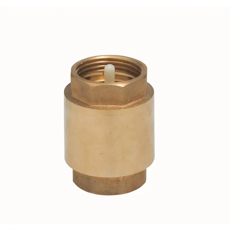 Valvola intermedia IG 24,1 mm (Rp 3/4) Koopje