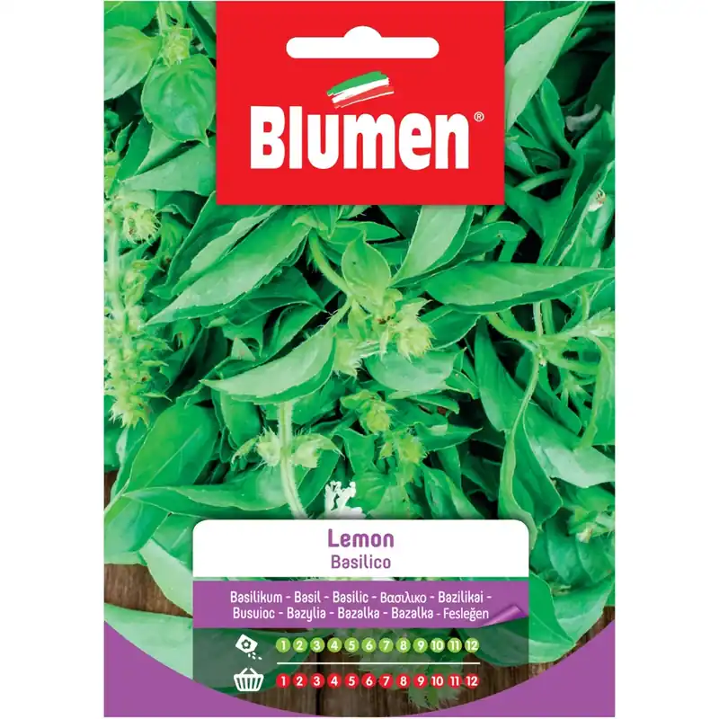 Beste Prijs Semi Blumen Basilico lemon