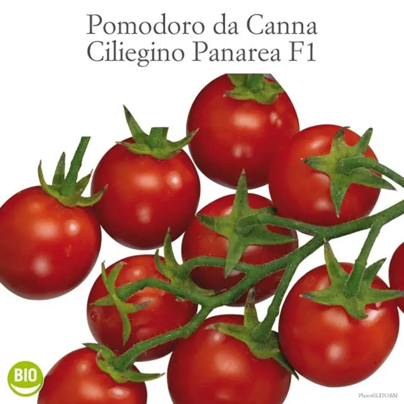 Pomodoro ciliegino vaschetta 4 pz Speciale Aanbieding