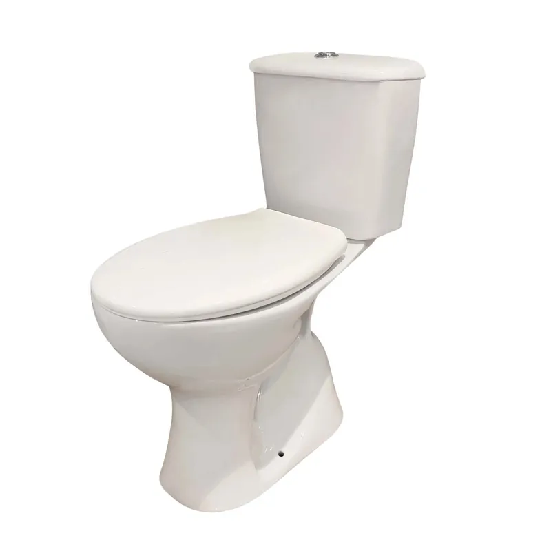 Koop Vandaag WC Pola monoblocco completo bianco