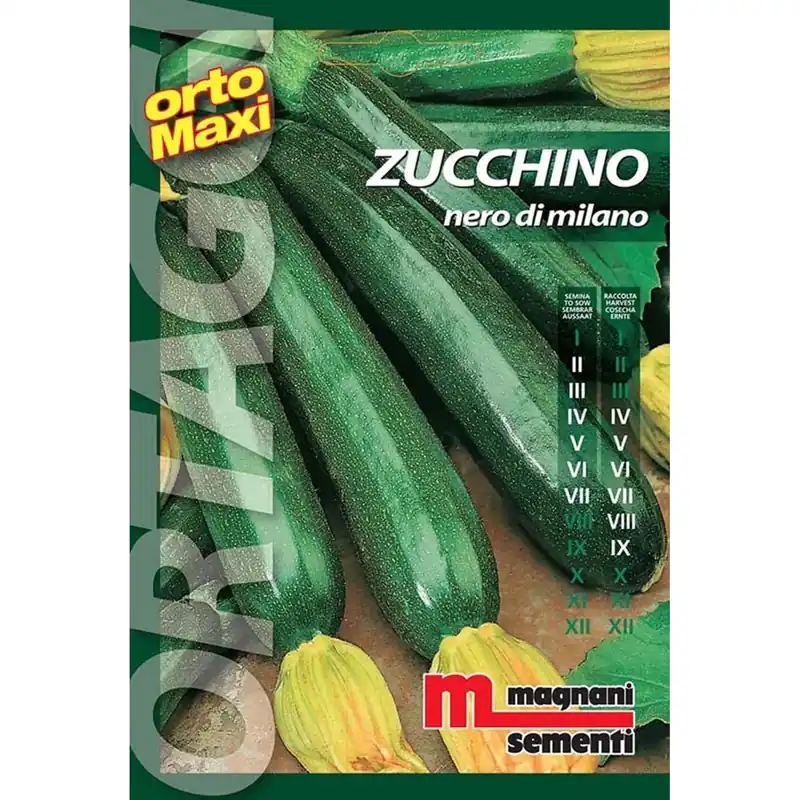 Superprijs Semi orto maxi Zucchino nero milanese