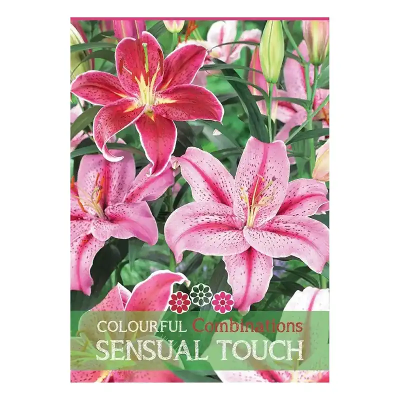 Shop Nu Lilium "Sensual Touch"