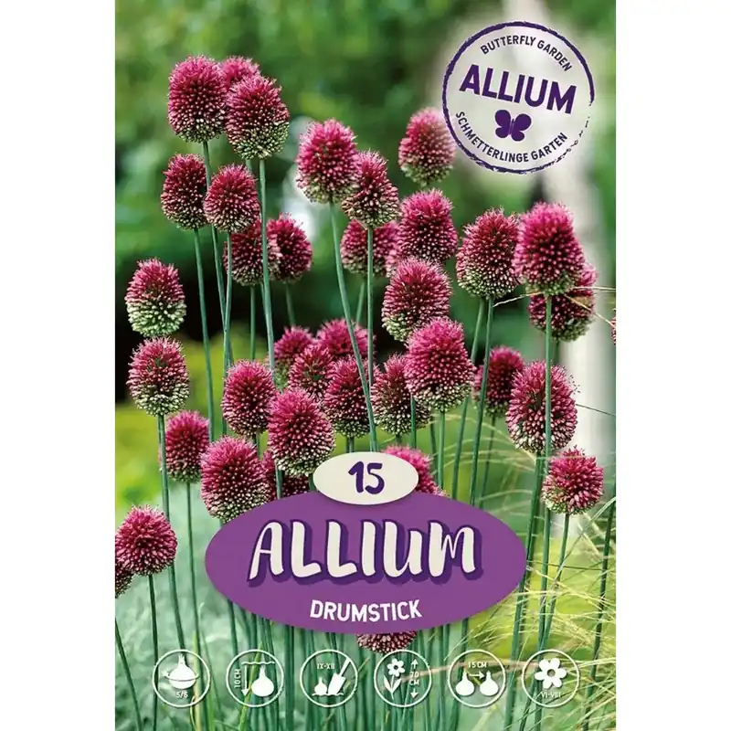 Op = Op Allium Sphaerocephalon