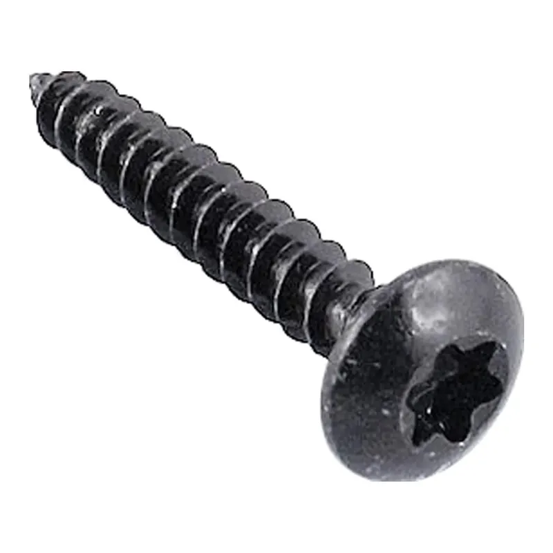 Nieuw Vite in acciaio tropicalizzato a impronta torx 5,5 mm x 30 mm 50 pz
