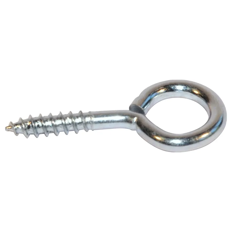 Occhioli a vite in acciaio inox 3,8 mm x 20 mm x 8 mm 4 pz Koop Vandaag