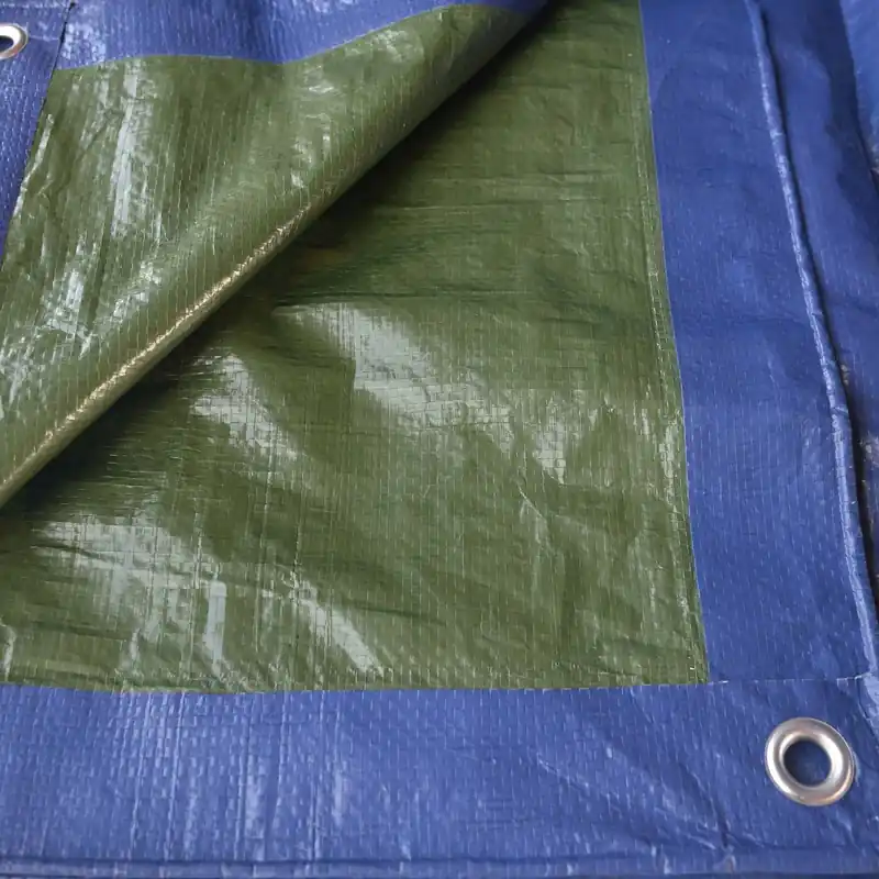 Telo occhiellato multiuso Tenax Cover All in polietilene 2x6 m verde-blu Snelle Levering