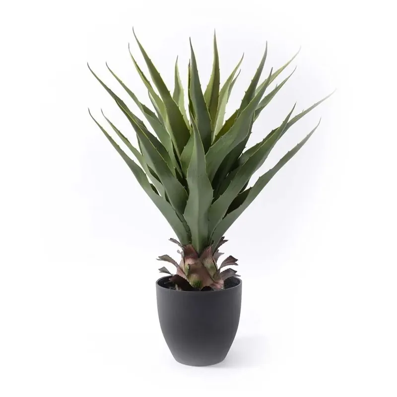 Betrouwbaar Pianta finta Aloe in vaso 70 cm verde