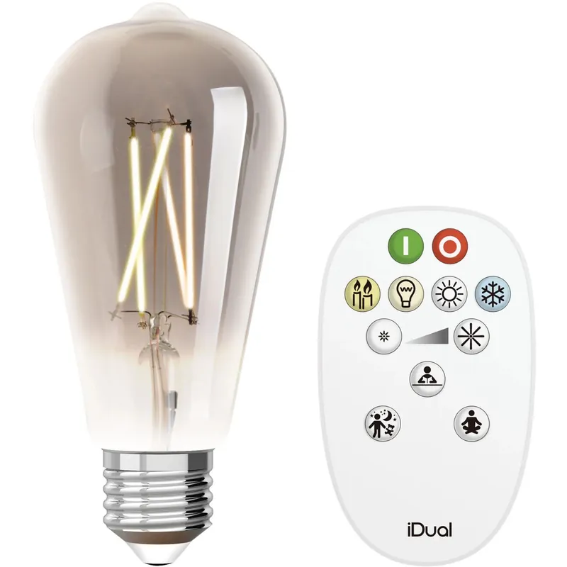Gereduceerde Prijs Lampadina LED ST64 iDual Smart Home a filamento con telecomando trasparente