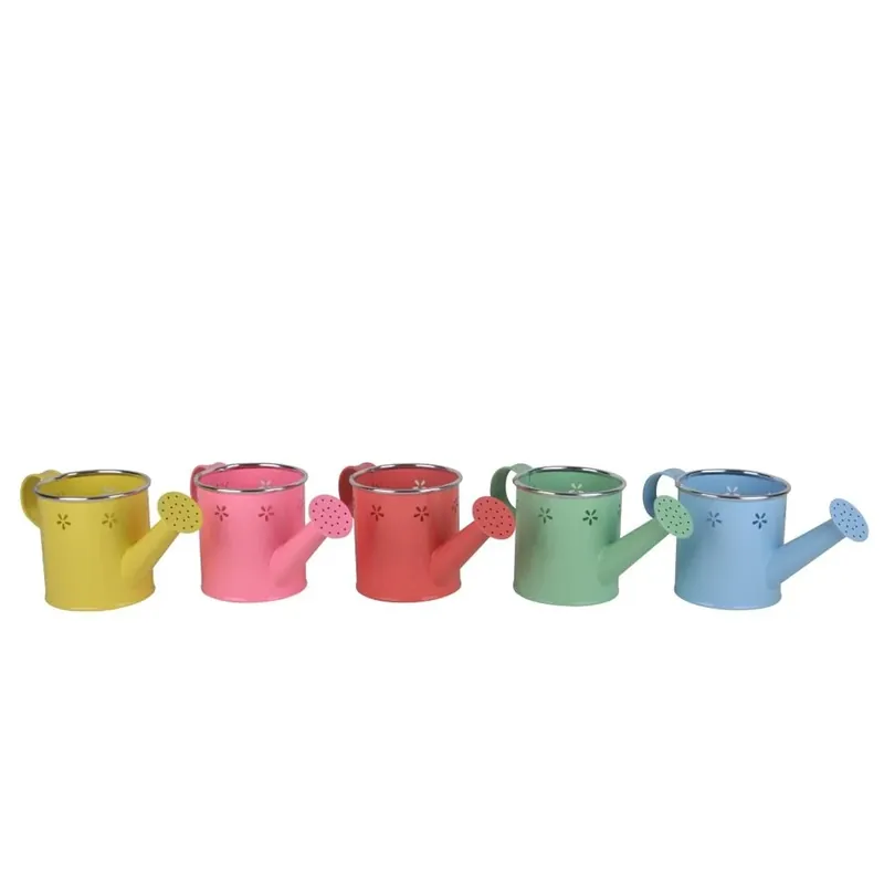 Shop Nu Decoro giardino innaffiatoio in metallo small