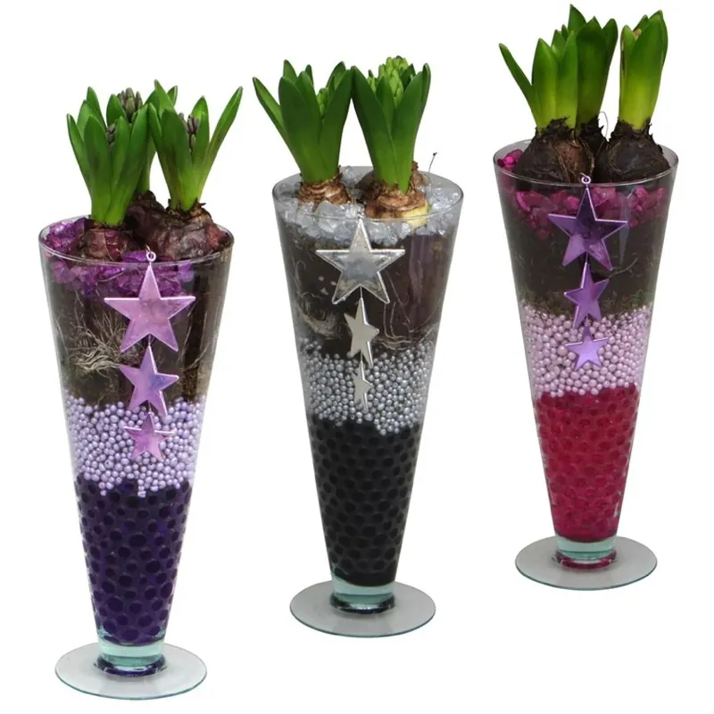 Seizoensaanbieding Giacinti Brill 3 bulbi vaso vetro Ø 14 cm