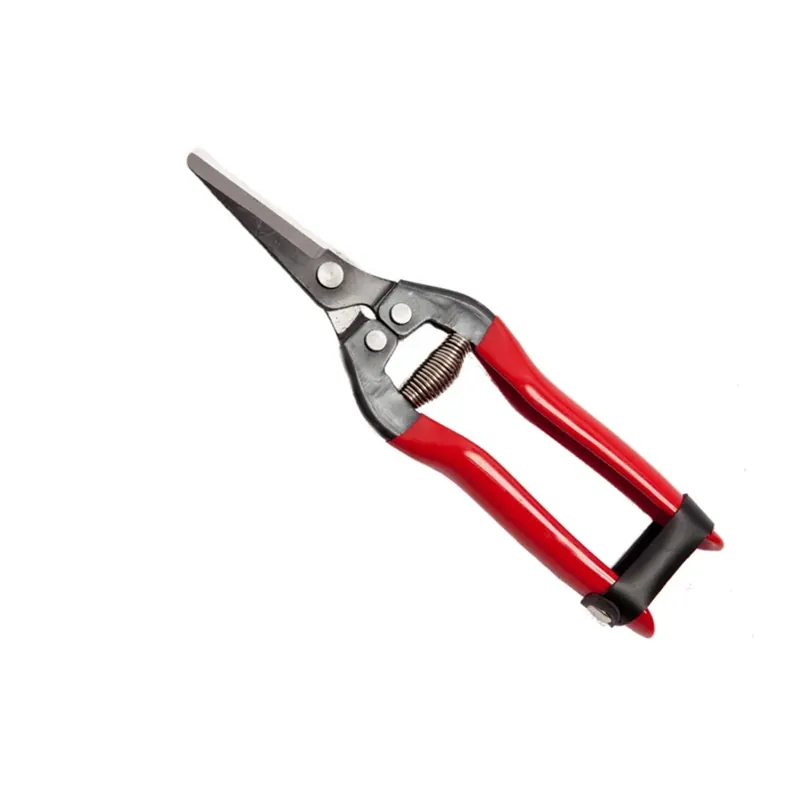 Nieuw Forbice da potatura cogliuva lama dritta 19 cm