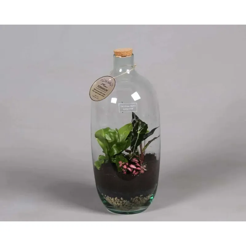 Composizione Bottiglia Verde Vaso 19 cm Op = Op