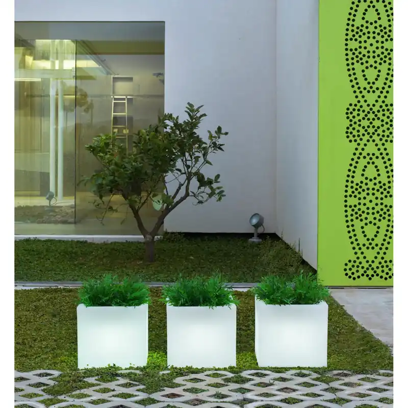 Vaso luminoso Narciso Express Levering