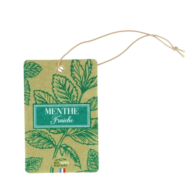 Bestel Nu Deodorante cartone imbevuto profumo Menta fresca