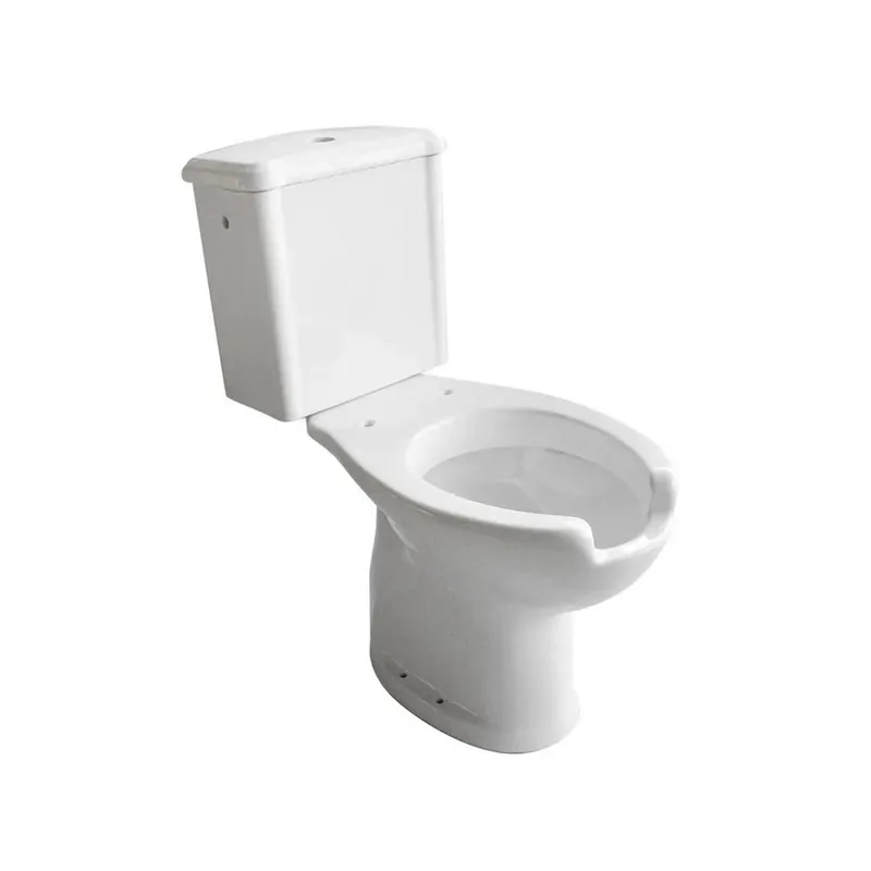 Gereduceerde Prijs Vaso monoblocco per disabili con cassetta scarico a pavimento