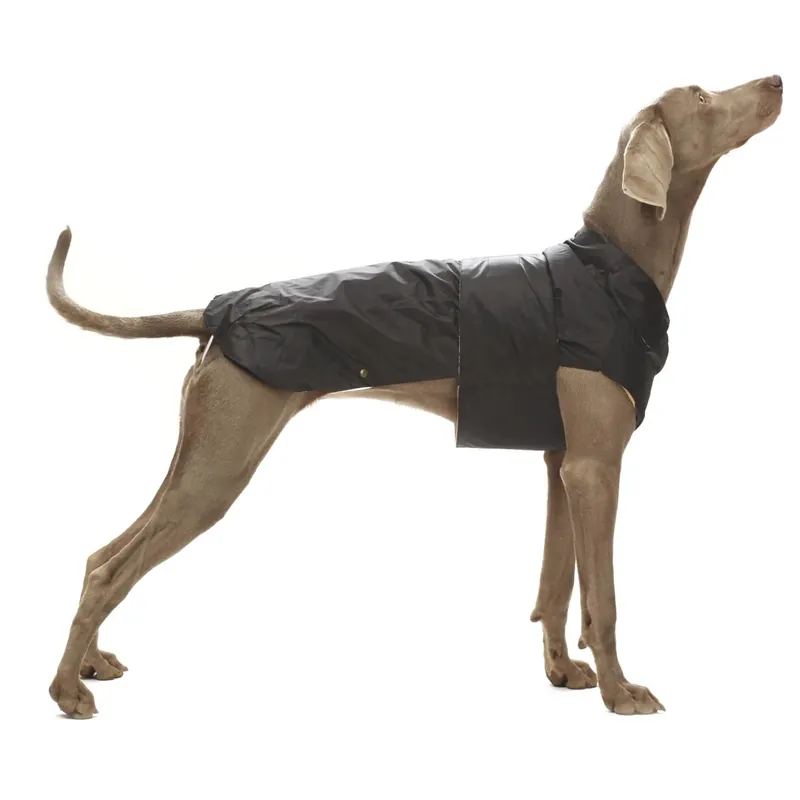 Cappottino impermeabile cani Montreal dorso 35 cm nero Lage Kosten
