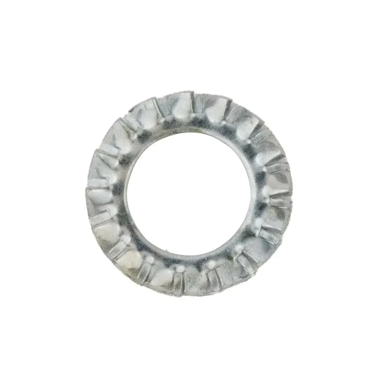 Laatste Kans Rondella dentatura esterna acciaio zincato din 6798 10 mm 8 pz