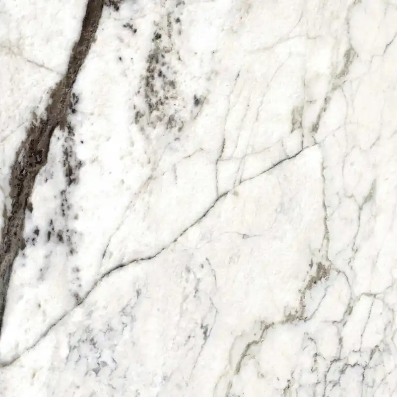 Express Levering Piastrella in gres porcellanato Dream Marble Breccia bianco 59,6x59,6 cm