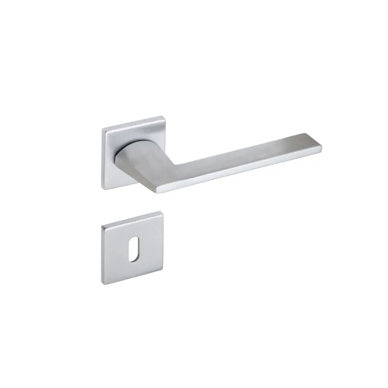 Maniglia modello flat style con rosette e bocchette patent Betaalbaar