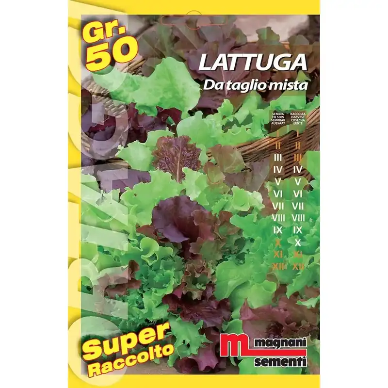 Betrouwbaar Semi orto big Lattughino taglio mix 50 g
