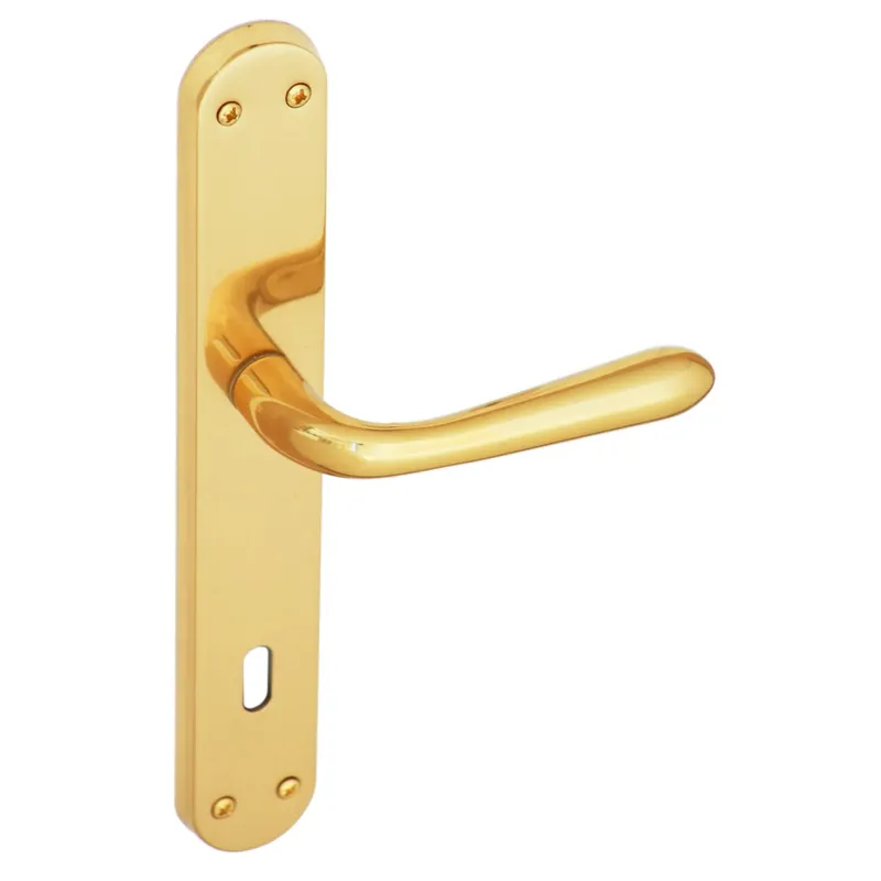 Alleen Vandaag Maniglia con placca patent speciale per ristrutturazioni 90 mm